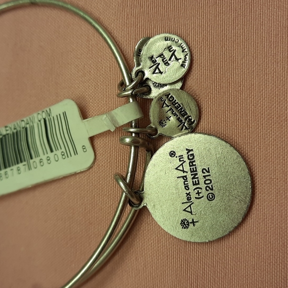 NWT, Alex and Ani U.S. Coast Guard Silver Bracelet - Picture 8 of 9